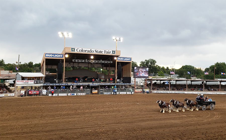 Colorado State Fair Horses